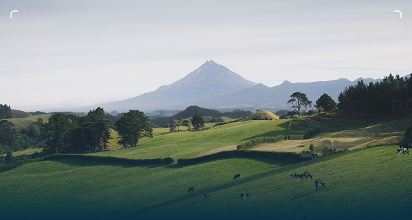 Portfólio Fundo Interior